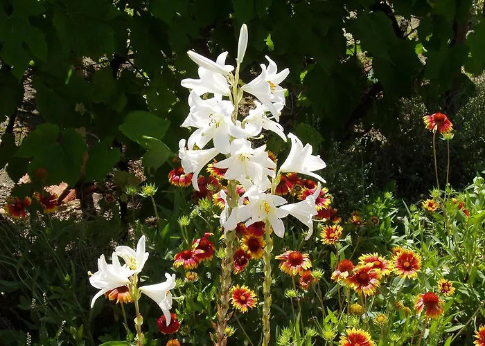 Katalin Apartmanhaz * Zalakaros